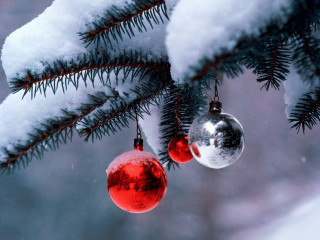 Ornaments hanging tree branch snow - folk art free wallpaper