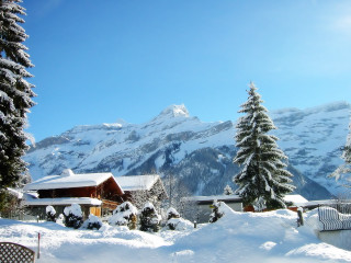 Snowy mountain house trees blue 3 - a house and trees free wallpaper