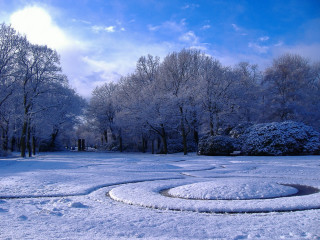 Circular snow path park trees - andy goldsworthy free wallpaper