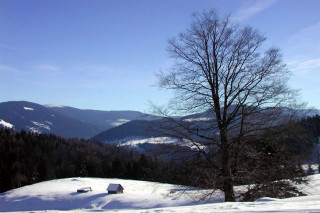 Snowy landscape tree mountains blue 3 - alen divi free wallpaper