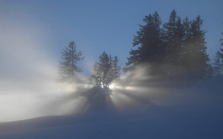 Foggy night light trees snow 4 - a foggy night free wallpaper