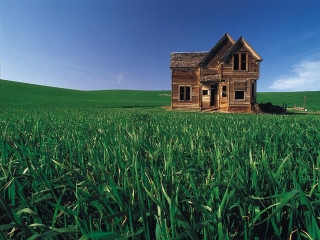 House field grass blue sky - david lachapelle free wallpaper