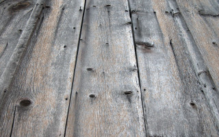Wooden floor bird back bird 2 - a woodcut free wallpaper