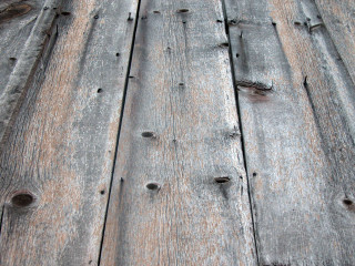 Wooden surface holes bird close - a woodcut free wallpaper