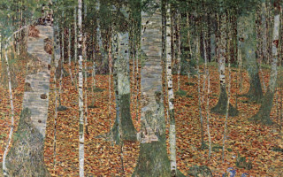 Forest trees leaves ground person - the ground and a person free wallpaper