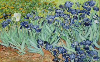 Blue irises garden yellow flowers - postimpressionism free wallpaper