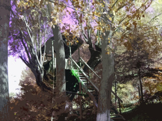 Tree staircase woods leaves painting 4 - ecological art free wallpaper