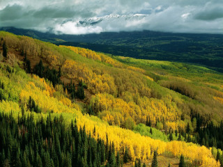 Mountain forest snow capped clouds 2 - mountain in the distance free wallpaper
