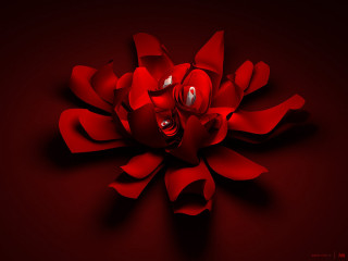Red flower rose ambient occlusion - a red flower free wallpaper
