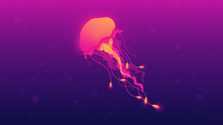 Jellyfish floating water bubbles around - jellyfish free wallpaper