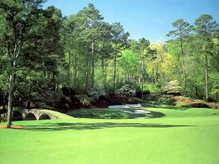 Green golf course bridge trees - a bridge and trees free wallpaper