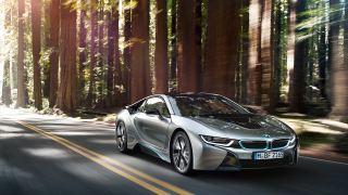 Silver car driving road forest 10 - tall tree free wallpaper