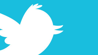 White bird flying sky blue - bird free wallpaper
