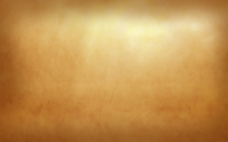 Brown background light black cat - the floor in front free wallpaper