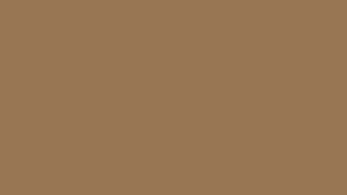 Brown white black white brown - a brown border free wallpaper