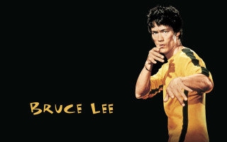 Bruce lee professional wrestler wrestling - andrew law free wallpaper