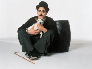 Man chair dog lap chain - arthouse free wallpaper