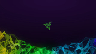 Colorful background lizard rainbow triangle - a lizard free wallpaper
