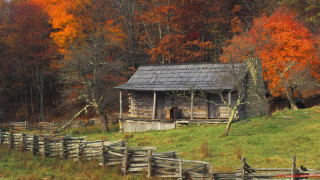 Rustic cabin woods fall colors - balcomb greene free wallpaper