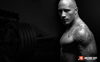 Anthony palumbo tattooed man barbell - his arm and chest free wallpaper