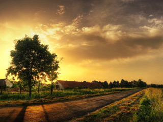 Dirt road tree barn sunset - a matte painting free wallpaper