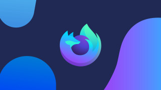 Blue purple background bird back - a blue bird free wallpaper