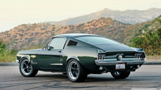 Mustang mountain forest vehicle tire - the side of the road in front free wallpaper