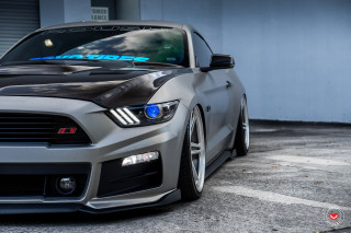 Mustang blue stripe hood hoods - a blue stripe free wallpaper