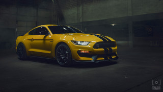 Yellow mustang - eddie mendoza free wallpaper