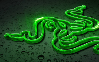 Green snake wet surface water - water droplet free wallpaper