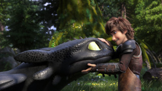 Boy holding dragon forest trees - a boy free wallpaper