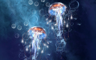 Jellyfish floating water bubbles blue - the water free wallpaper