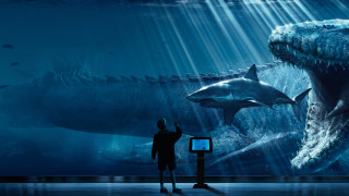 Man shark museum exhibit computer - weta digital free wallpaper