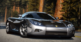 Silver sports car road forest 2 - a forest of trees free wallpaper