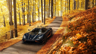 Black sports car autumn leaves 5 - autumn free wallpaper
