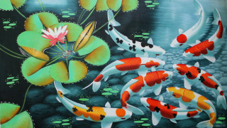 Koi fish pond lily pads - chiho aoshima free wallpaper