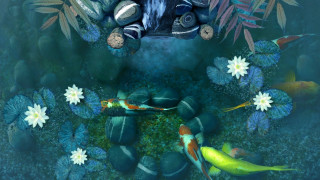 Fish frog pond plants flowers - lostfish free wallpaper
