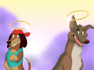 Dog halo dog hat funny - a halo free wallpaper