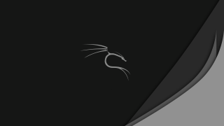 Cat black white photo stripe - dark background free wallpaper