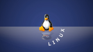 Linux bernd fasching blackbird computer - bernd fasching free wallpaper