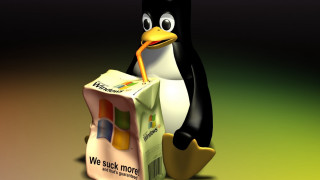 Penguin carton milk carton milk - a penguin free wallpaper