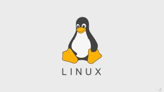 Linux purism carlos trillo bird - purism free wallpaper