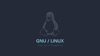 Linux purism greyscale longhair solo - purism free wallpaper