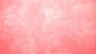 Red wall white background black - a black cat free wallpaper