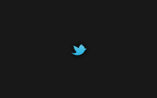 Blue twitter logo black background - the right side of the image free wallpaper