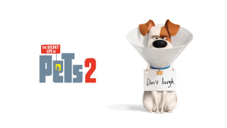 Cartoon dog sign name tag - a cartoon dog free wallpaper