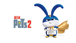 Cartoon bunny pete pete2 poster - avgust černigoj free wallpaper