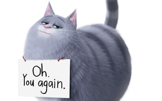 Cat holding sign oh you - cliff childs free wallpaper