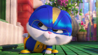 Carlos catasse furry 3d cat - cat free wallpaper