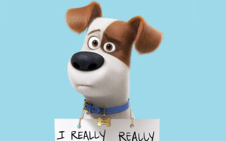 Dog sign furry blue sky - a poster free wallpaper